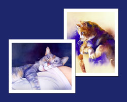 Cat's Meow notecard collection