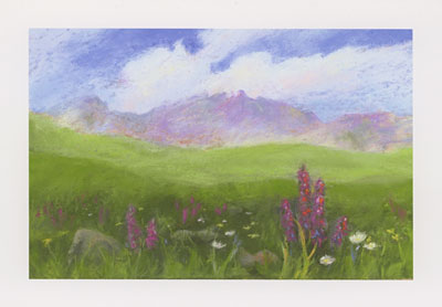 American Basin watercolor note cards