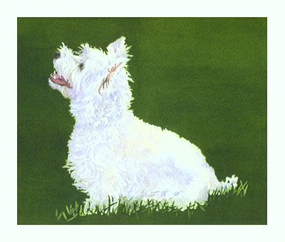 Anticipation watercolor note cards