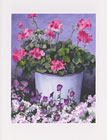 Geranium in Blue Pail watercolor note card